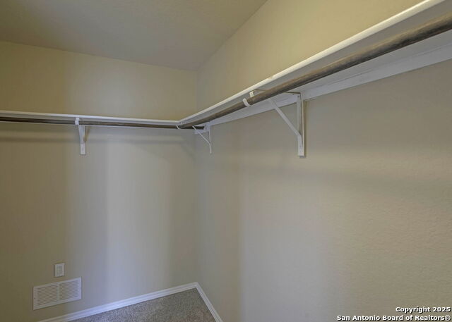 Image 13 of 18 For 1972 Bluethroat