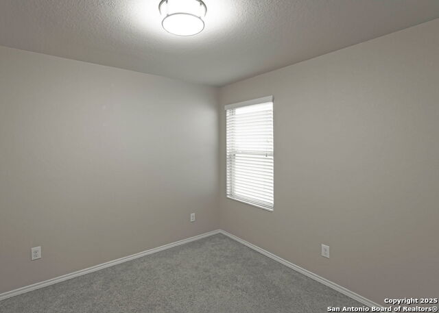 Image 16 of 18 For 1972 Bluethroat