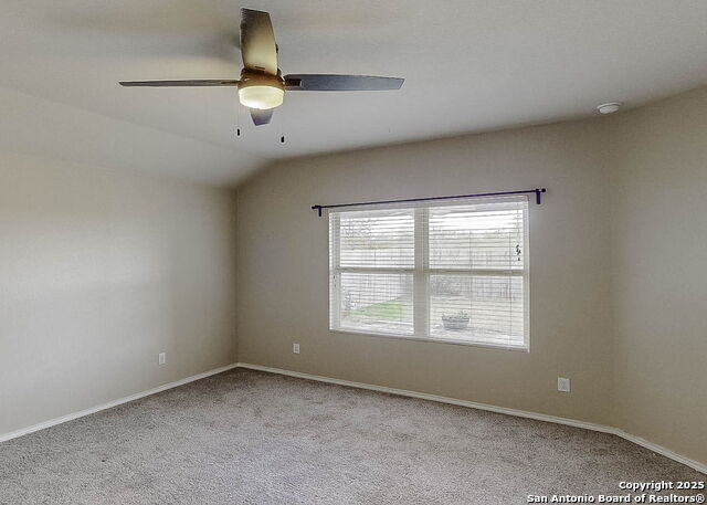 Image 9 of 18 For 1972 Bluethroat