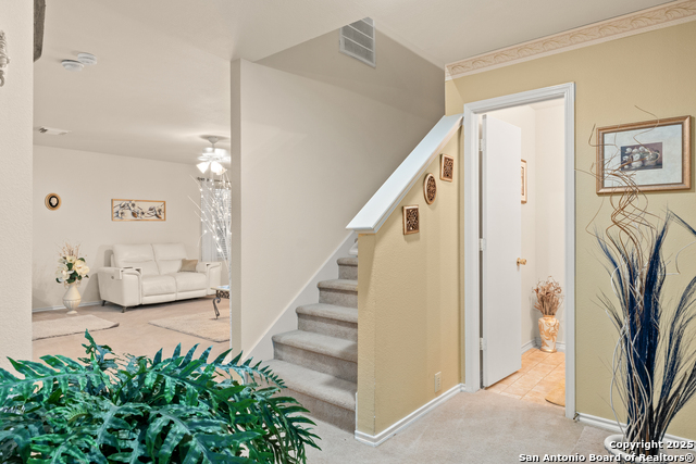 Listing photo id 23 for 4919 Orchid Star