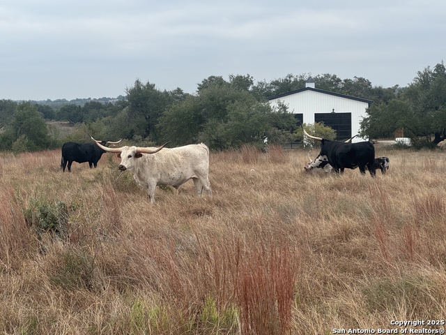 Image 5 of 11 For Tbd, Lot 44 Old 32 Crossing Dr-