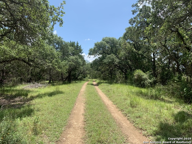 Image 6 of 11 For Tbd, Lot 44 Old 32 Crossing Dr-