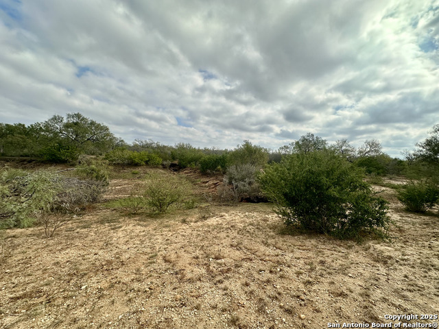 Image 10 of 24 For 0 County Road 733