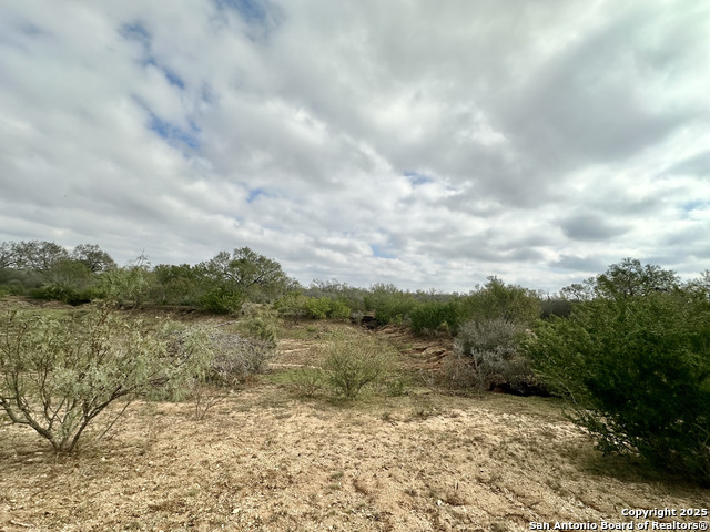 Image 11 of 24 For 0 County Road 733