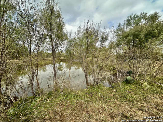 Image 12 of 24 For 0 County Road 733