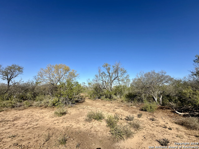 Image 17 of 24 For 0 County Road 733