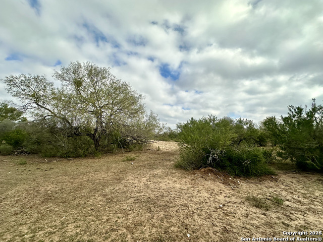 Image 8 of 24 For 0 County Road 733
