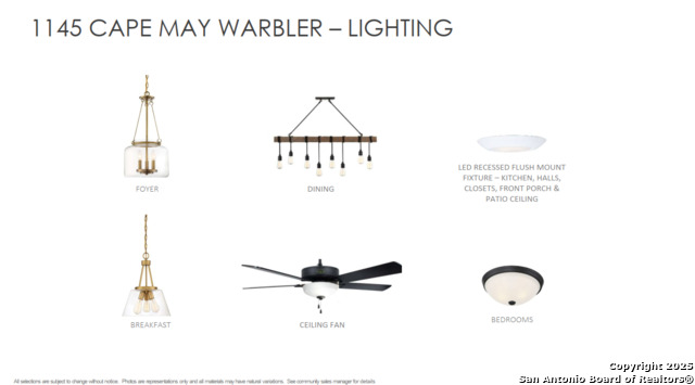 Image 11 of 13 For 1145 Cape May Warbler