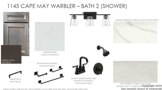 Image 13 of 13 For 1145 Cape May Warbler