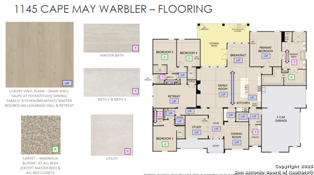 Image 4 of 13 For 1145 Cape May Warbler