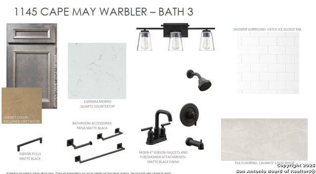 Image 6 of 13 For 1145 Cape May Warbler