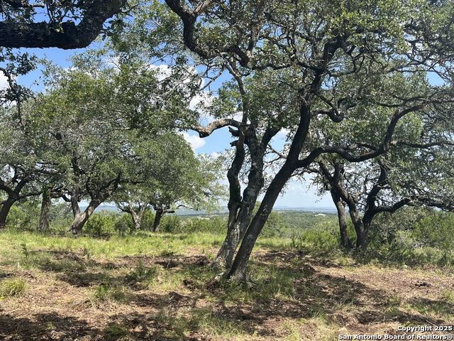 Image 13 of 37 For 189 Cordillera Ridge