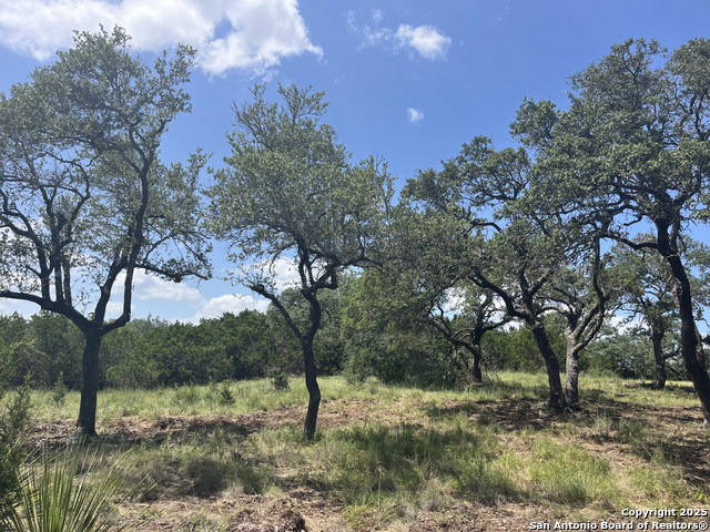 Image 16 of 37 For 189 Cordillera Ridge