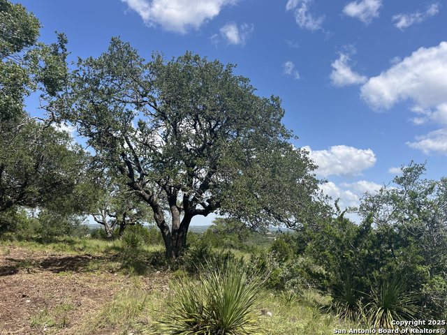 Image 17 of 37 For 189 Cordillera Ridge