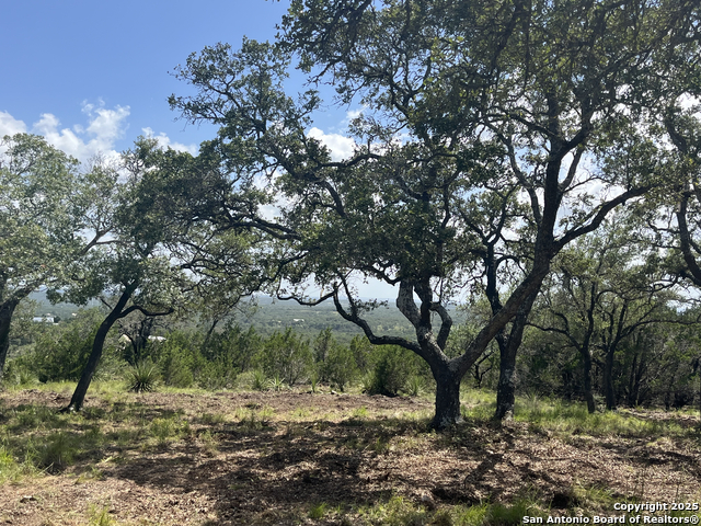 Image 24 of 37 For 189 Cordillera Ridge