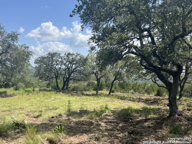 Image 31 of 37 For 189 Cordillera Ridge