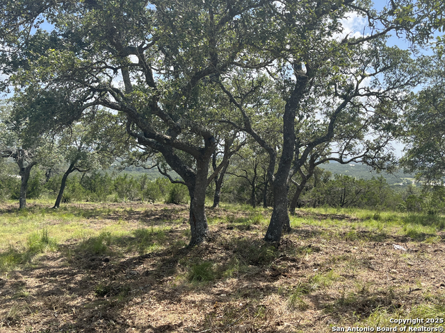 Image 32 of 37 For 189 Cordillera Ridge