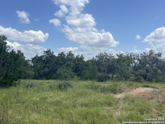 Image 36 of 37 For 189 Cordillera Ridge