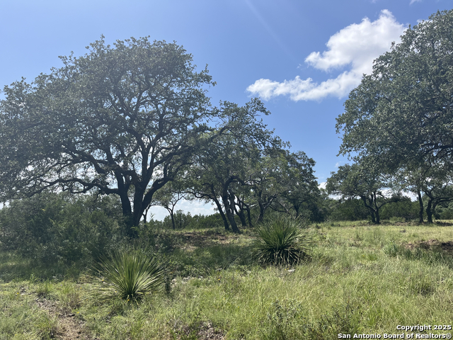 Image 6 of 37 For 189 Cordillera Ridge