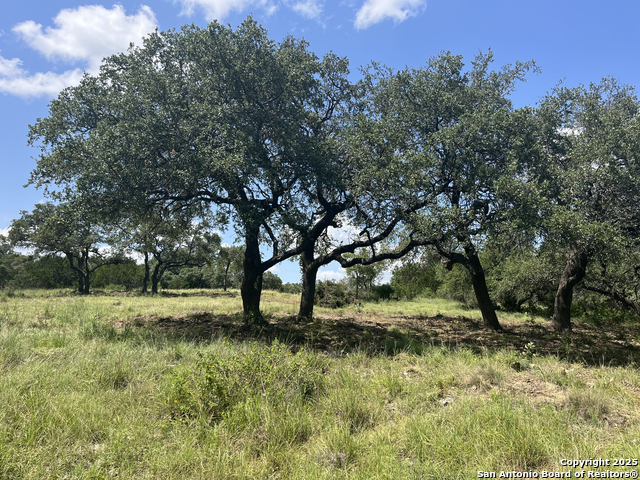 Image 7 of 37 For 189 Cordillera Ridge