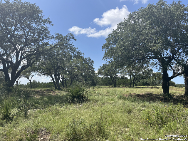 Image 8 of 37 For 189 Cordillera Ridge
