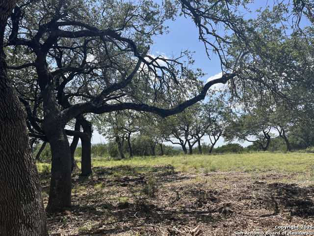 Image 9 of 37 For 189 Cordillera Ridge