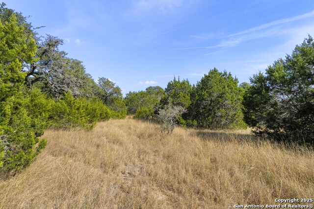 Listing photo id 13 for 13 Summit Pass