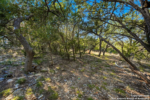 Listing photo id 20 for 1095 Stallion Springs