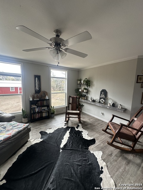 Image 9 of 26 For 1253 Cr 428  