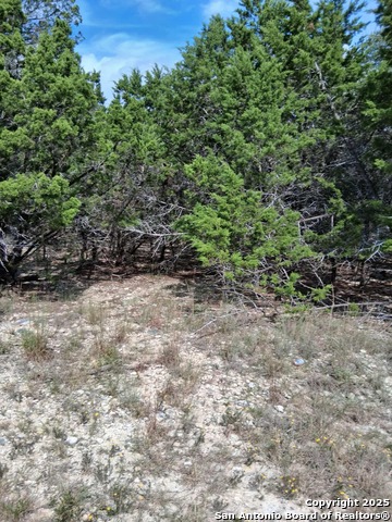 Image 3 of 7 For 1031 Eastview