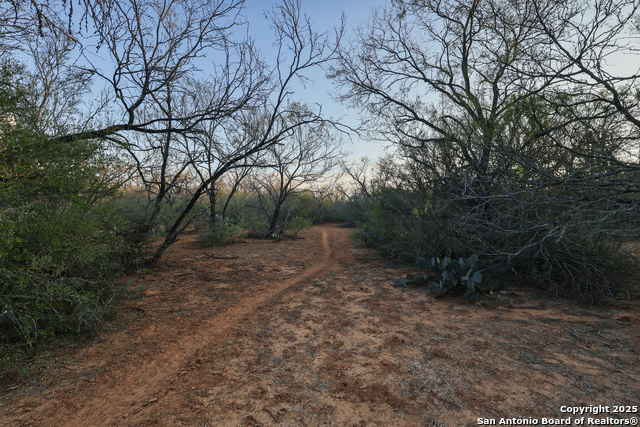 Image 9 of 11 For 1804 Loop 1604 E