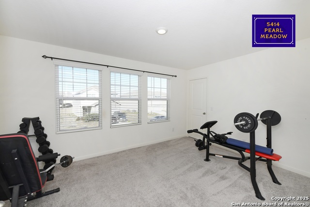 Listing photo id 9 for 5414 Pearl Meadow