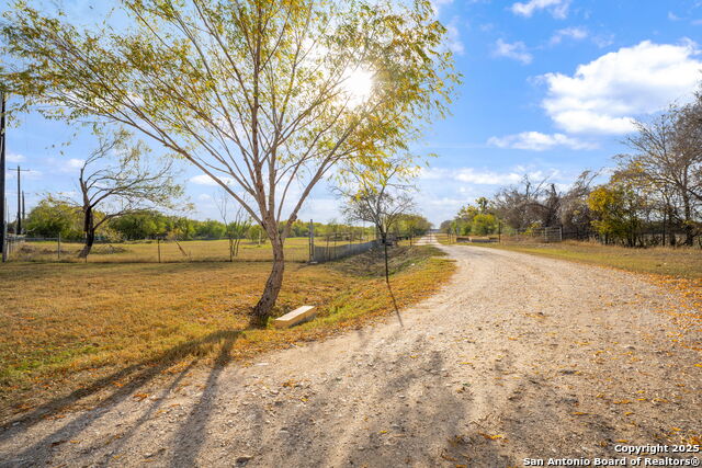 Listing photo id 2 for 155 County Road 6712