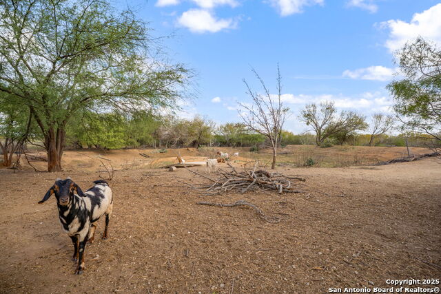 Listing photo id 41 for 155 County Road 6712