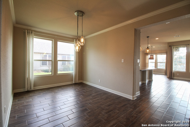 Image 12 of 33 For 1024 Water Oak