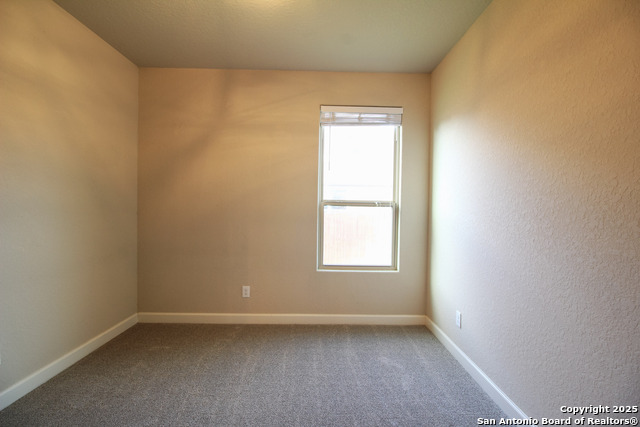 Image 19 of 33 For 1024 Water Oak