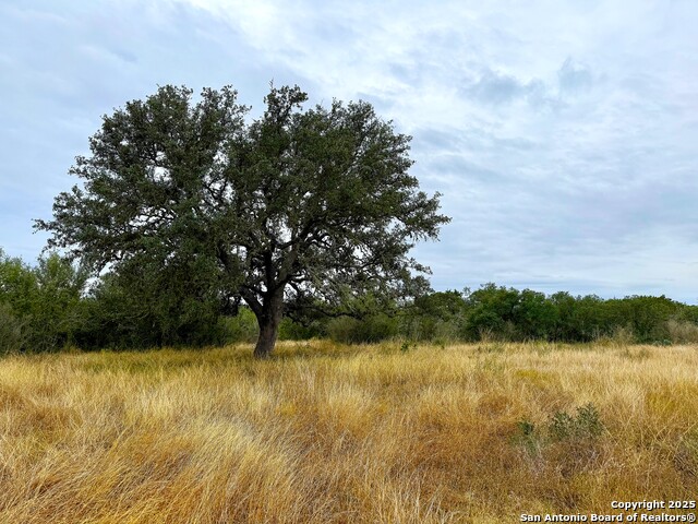 Image 5 of 7 For 261 Grand Ranch