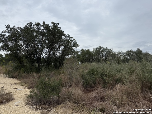 Image 7 of 7 For 261 Grand Ranch