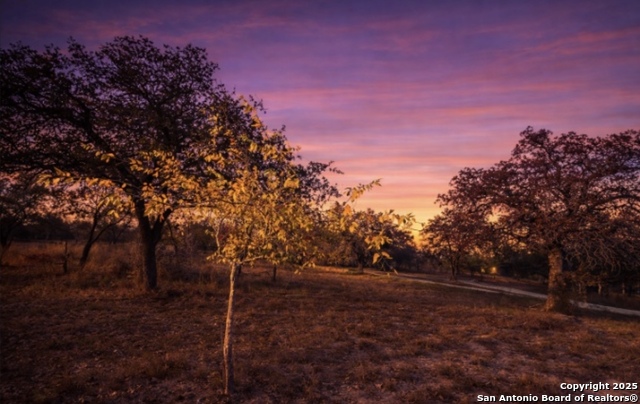 Listing photo id 11 for 140 County Road 7866