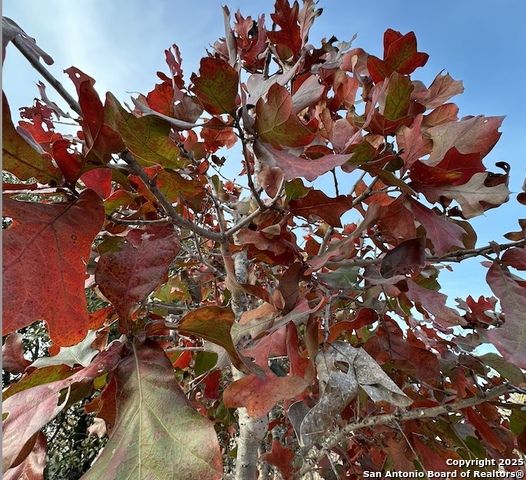 Listing photo id 12 for 140 County Road 7866