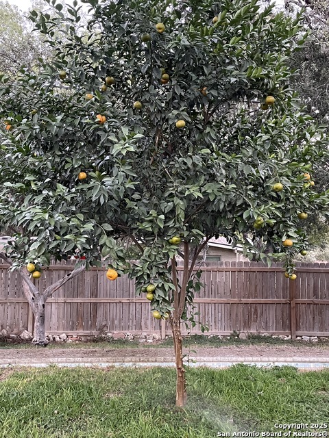 Image 10 of 24 For 8702 Charro Ln