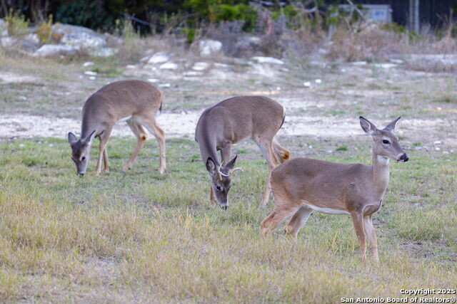 Image 32 of 43 For 411 Lake Park