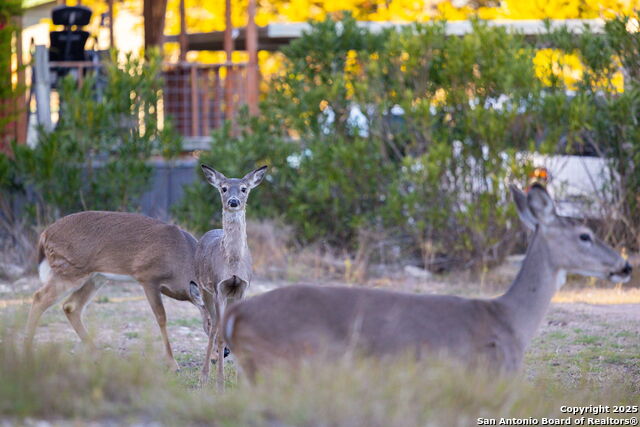 Image 33 of 43 For 411 Lake Park