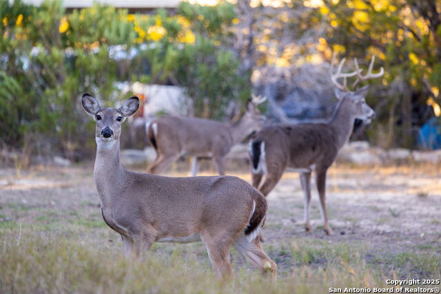 Image 34 of 43 For 411 Lake Park