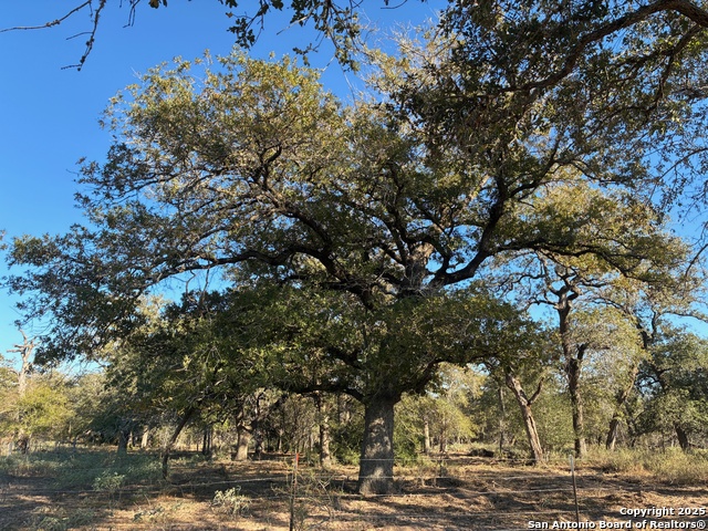 Image 4 of 5 For 371 Batey Rd