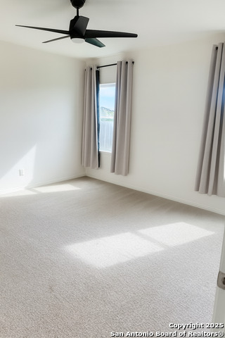 Image 7 of 19 For 12534 Galatea