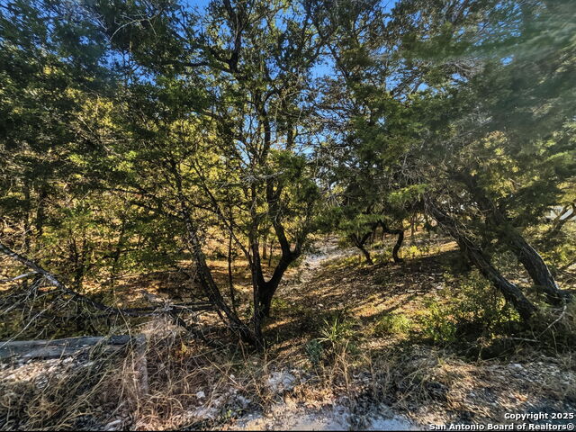 Listing photo id 3 for 9084 Fm 1283