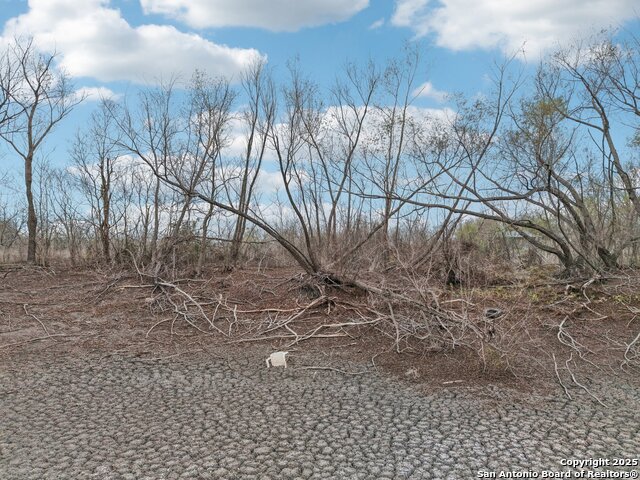 Listing photo id 11 for 10701 Fm 1625