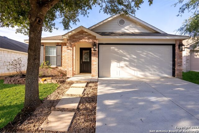 Image 2 of 32 For 911 Rustic Cactus