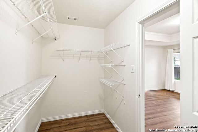 Image 20 of 32 For 911 Rustic Cactus